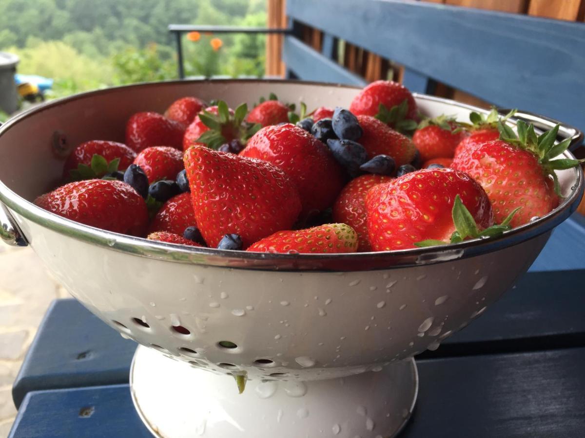 Bed and Breakfast Rose Hip Hill Farm Valea Tirnei Экстерьер фото