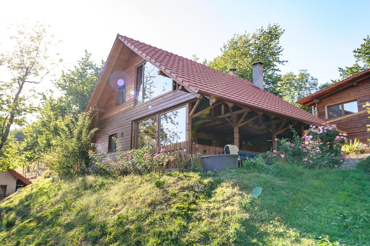 Bed and Breakfast Rose Hip Hill Farm Valea Tirnei Экстерьер фото