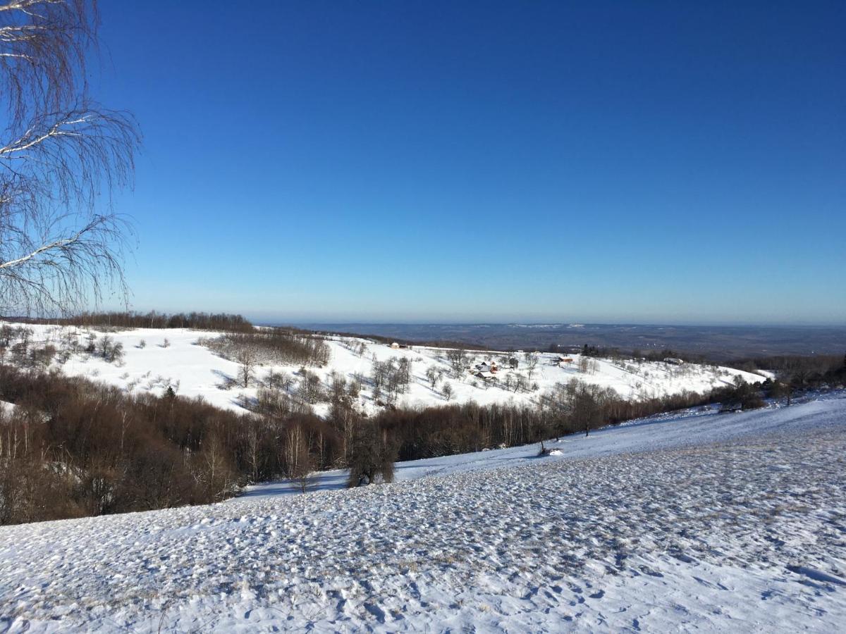 Bed and Breakfast Rose Hip Hill Farm Valea Tirnei Экстерьер фото