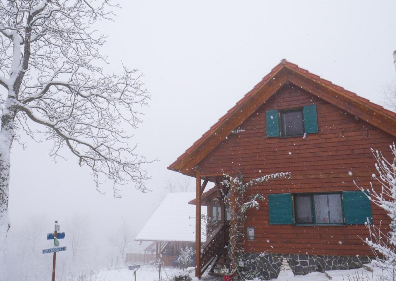 Bed and Breakfast Rose Hip Hill Farm Valea Tirnei Экстерьер фото