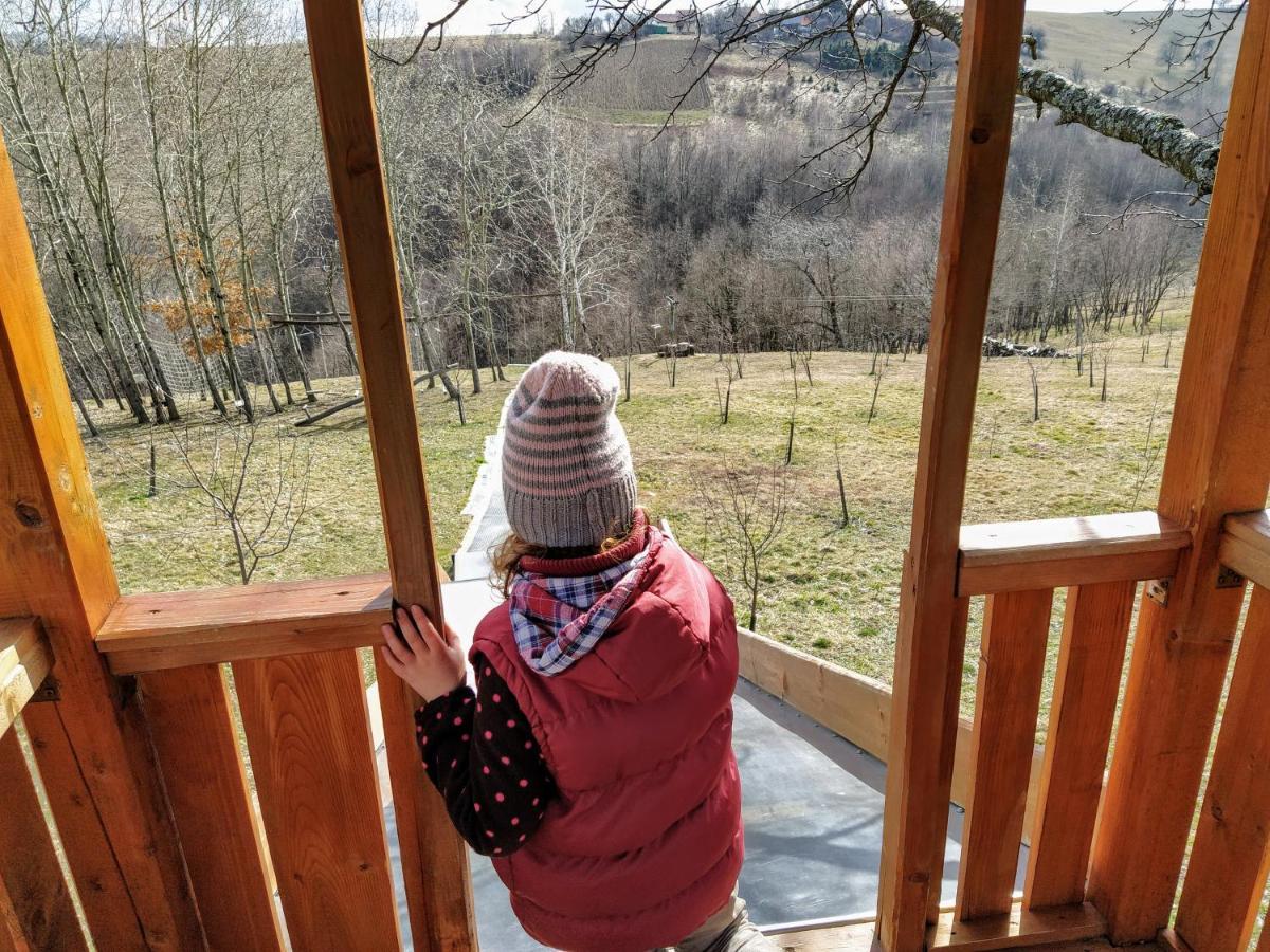 Bed and Breakfast Rose Hip Hill Farm Valea Tirnei Экстерьер фото