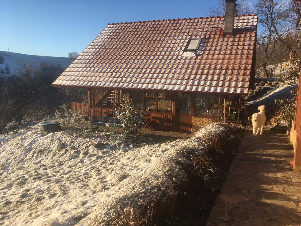 Bed and Breakfast Rose Hip Hill Farm Valea Tirnei Экстерьер фото